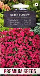 Nodding Catchfly Seeds